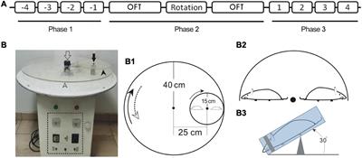 A New Vestibular Stimulation Mode for Motion Sickness With Emphatic Analysis of Pica